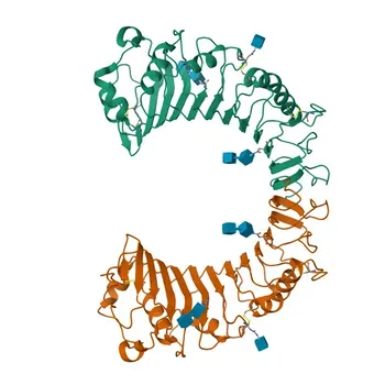Anticorpo Monoclonal Coelho Anti-Camundongo CD14 para FC - P10810