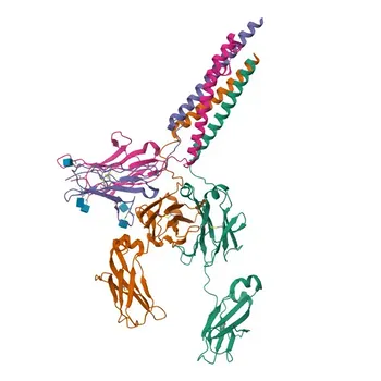 Anticorpo Monoclonal Anti-Mouse CD79b () para Citometria de Fluxo - P15530