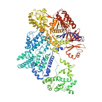 Anticorpo Monoclonale Anti-Cas9 Coniglio per WB, IF/ICC, ELISA - Q99ZW2