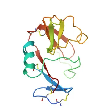 Anticorpo monoclonale coniugato PerCP/Cyanine5.5 di coniglio anti-CD94 umano per citometria a flusso - Q13241