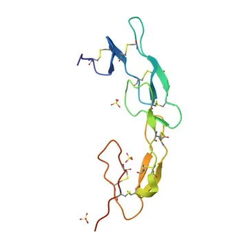 Anticorpo Monoclonale Anti-Mouse CD270/HVEM per Citometria a Flusso - Q80WM9