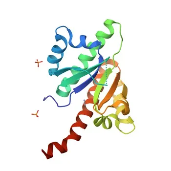 IGF2BP1/IMP1 Rabbit mAb for WB, IHC-P, IF/ICC, IP, ELISA - Q9NZI8
