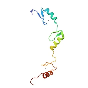 Anticorpo monoclonale anti-PATZ1 per WB, ELISA - Q9HBE1