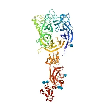 Anticorpo monoclonal coelho Anti-Plexina A1 para WB e ELISA - Q9UIW2