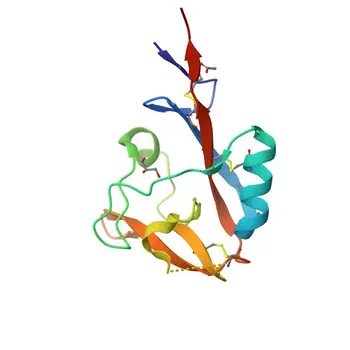 Anticorpo monoclonal de coelho anti-CD72 de camundongo para FC - P21855