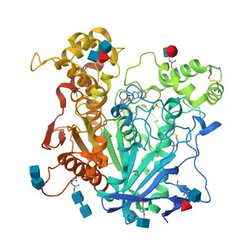Anticorpo Monoclonal Anti-Butirilcolinesterase para WB e ELISA - P06276