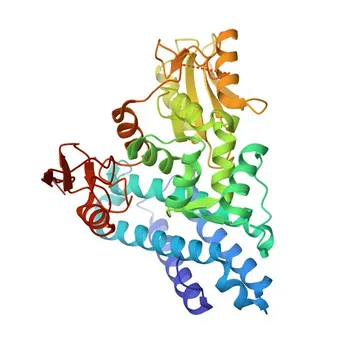 Anti-Phospho-CBL-Y774 Coelho pAb - P22681