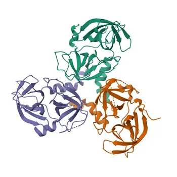 Anticorpo monoclonale di coniglio anti-HTRA2 per WB, ELISA - O43464