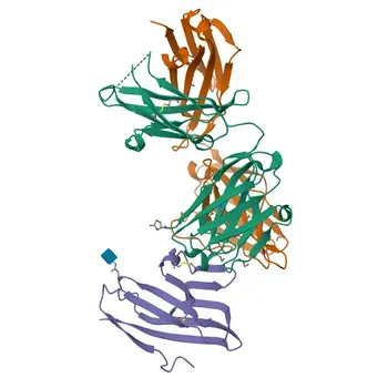 APC Rabbit anti-Mouse CD96/TACTILE Monoclonal Antibody for FC - Q3U0X8