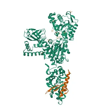 Anticorpo Monoclonal de Coelho Anti-UPF1/RENT1 para WB, IF/ICC, IP, ELISA - Q92900