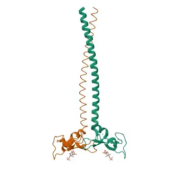 Anticorpo Monoclonal de Coelho Anti-EEA1 para WB, ELISA - Q15075