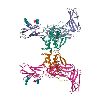 Anticorpo Monoclonal Coelho anti-Mouse CD117/c-Kit para Citometria de Fluxo - P05532