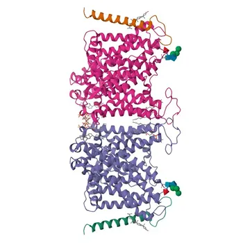 Anticorpo Monoclonal Coelho anti-Humano CD235a/Glicoforina A para FC - P02724