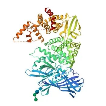 Anticorpo Monoclonal de Coelho Anti-ERAP1 para WB, IHC-P, ELISA - Q9NZ08