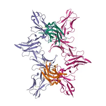 Anti-ILT5/CD85a (LILRB3) Monoclonal Antibody () for Flow Cytometry - O75022