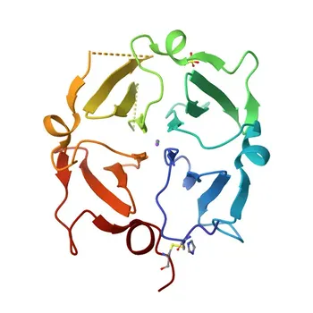 Anticuerpo monoclonal anti-vitronectina (proteína S, V75) para WB y ELISA - P04004