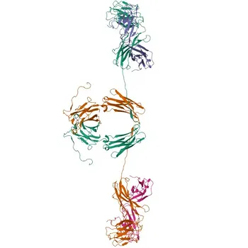 PE Rabbit anti-Human IgA1 Monoclonal Antibody for Flow Cytometry - P01876