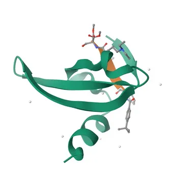 Anticorpo monoclonale di coniglio anti-CBX2 per WB & ELISA - Q14781