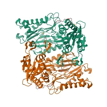 [KD Validato] Anticorpo monoclonale coniglio anti-XPNPEP3 per WB, IHC-P, ELISA - Q9NQH7
