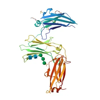 Anticuerpo monoclonal de conejo anti-IgE humana para FC - P01854