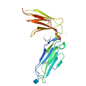 ABflo 647 Anti-Human GP6/GPVI Monoclonal Antibody for Flow Cytometry - Q9HCN6