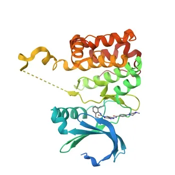 Anticorpo policlonal de coelho Phospho-AURKA (Thr288) para WB e ELISA - O14965