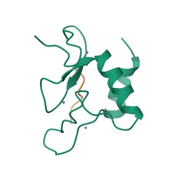 Anticorpo Monoclonal de Coelho Anti-IRF2 para WB, IP, ELISA - P14316