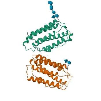 جسم مضاد أحادي النسيلة أرنب مضاد لـ IFN-beta لـ WB، ELISA - P01574