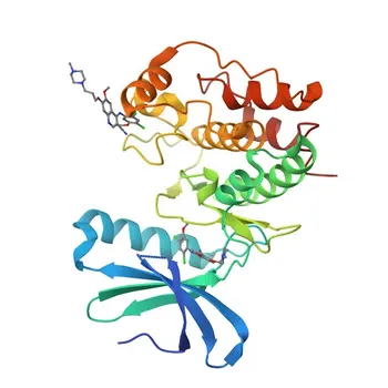 Anti-ULK3 Monoklonaler Antikörper für WB, IF/ICC, ELISA - Q6PHR2