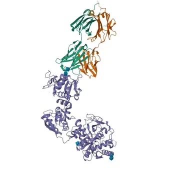 Anticorps monoclonal de lapin anti-CD228/MFI2 humain pour la cytométrie en flux - P08582