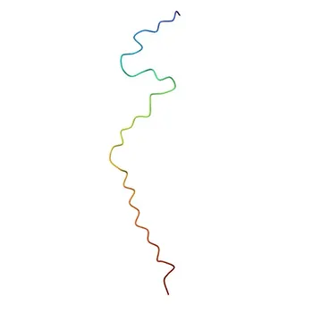 Anticorpo Monoclonal de Coelho Anti-CD28 de Camundongo para Citometria de Fluxo - P31041