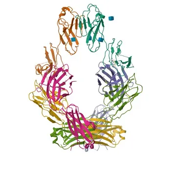 APC-conjugated Anti-CD223/LAG-3 Rabbit Monoclonal Antibody for Flow Cytometry - P18627