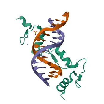 جسم مضاد وحيد النسيلة مضاد لـ CTIP1/BCL11A للاستخدام في WB وIHC-P وELISA - Q9H165