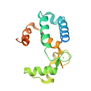 جسم مضاد أحادي النسيلة للفأر مضاد لـ AIF1/IBA1 للاستخدام في WB، IF، IHC-P، ELISA - O70200