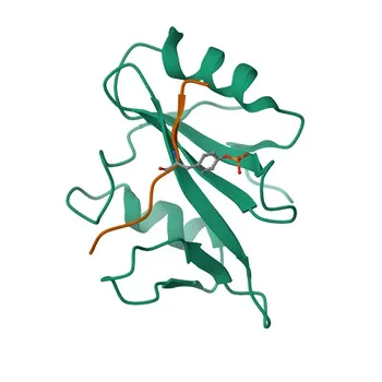 Anticorpo Monoclonal Anti-CD150/SLAM Humano () para FC - Q13291