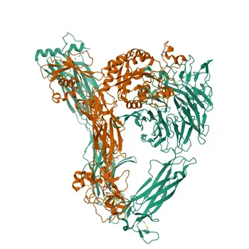 Anticorpo Monoclonal Coelho anti-CD51 Humano para Citometria de Fluxo - P06756