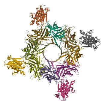 Anticorpo Monoclonal Coelho anti-Camundongo CD11b conjugado com para FC - P05555