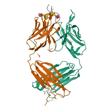 Rabbit anti-Human Podoplanin Monoclonal Antibody for Flow Cytometry - Q86YL7