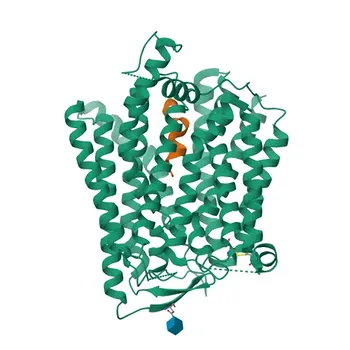 Anticuerpo monoclonal de conejo anti-TASL para WB, IF/ICC, ELISA - Q9HAI6