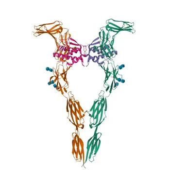 Anticuerpo Monoclonal Anti-CD117/c-Kit Humano para Citometría de Flujo - P10721