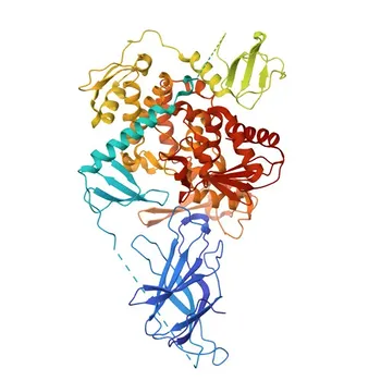 Anti-NEDD4L Rabbit Monoclonal Antibody for WB, ELISA - Q96PU5