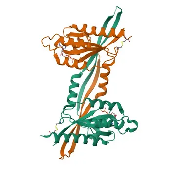 Anti-RAB27B Rabbit Monoclonal Antibody for WB, IF-P, IHC-P, ELISA - O00194