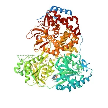 Anti-DHX9/RNA Helicase A Rabbit Monoclonal Antibody for WB, IHC-P, IF/ICC, IP, ELISA - Q08211
