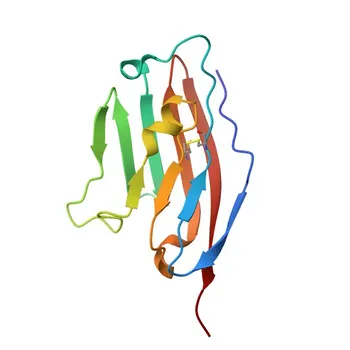Anticorpo monoclonal de coelho anti-CD274/PD-L1 de camundongo conjugado com para Citometria de Fluxo - Q9EP73