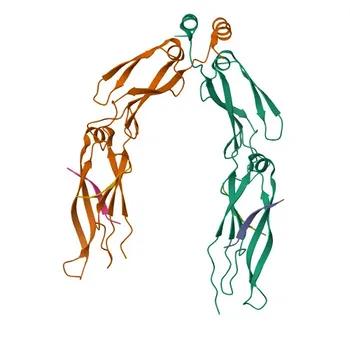 Anticorpo Monoclonal Coelho anti-Humano DNAJB1/HSP40 para FC - P25685