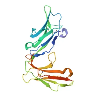 Anticorpo Monoclonal Coelho anti-Humano CD89 para FC - P24071