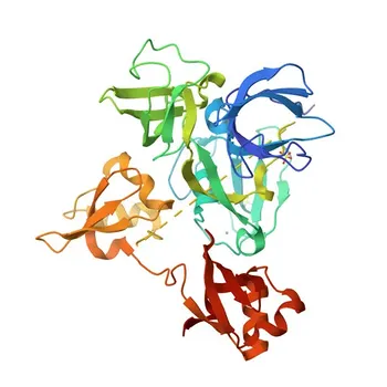 Anticorpo Monoclonale Coniglio MIB1/DIP1 per WB, ELISA - Q86YT6