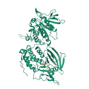 Anticorpo Monoclonal de Coelho Anti-CD45 para FC, ELISA - P08575