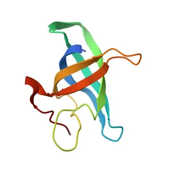 Anti-LIN28B Rabbit Monoclonal Antibody for WB, IP, IHC-P, ELISA - Q6ZN17