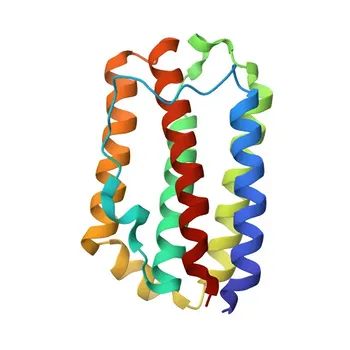 جسم مضاد وحيد النسيلة أرنب ضد IFN-beta الفأري للـ WB و ELISA - P01575